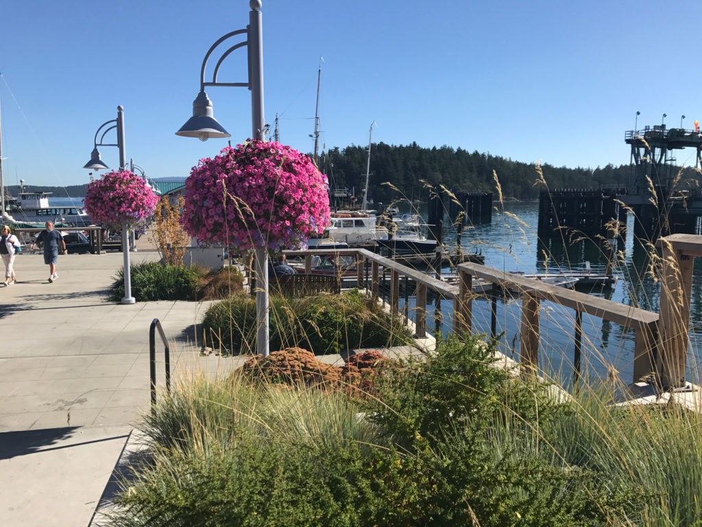 SpringStreet_20170826_IMG_1398