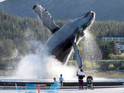 B2GC_image5911386_Whale_Fountain