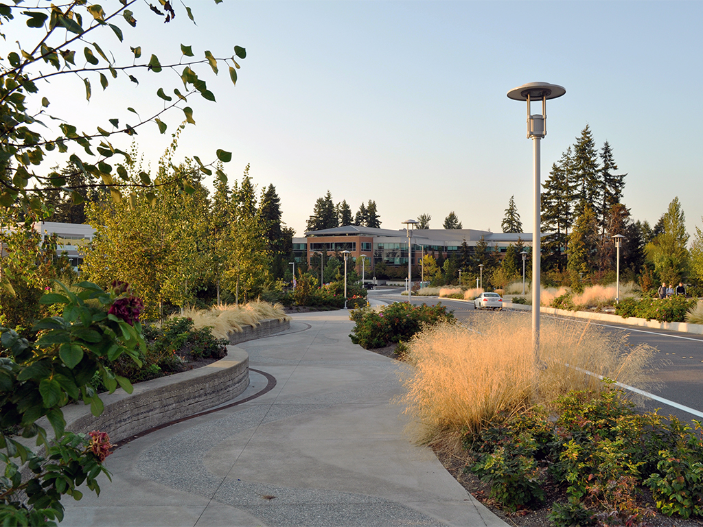 NE31to36-Bridge__DSC_0449_1024x768