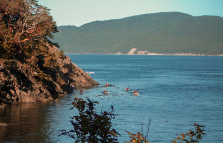 Team Kayaking