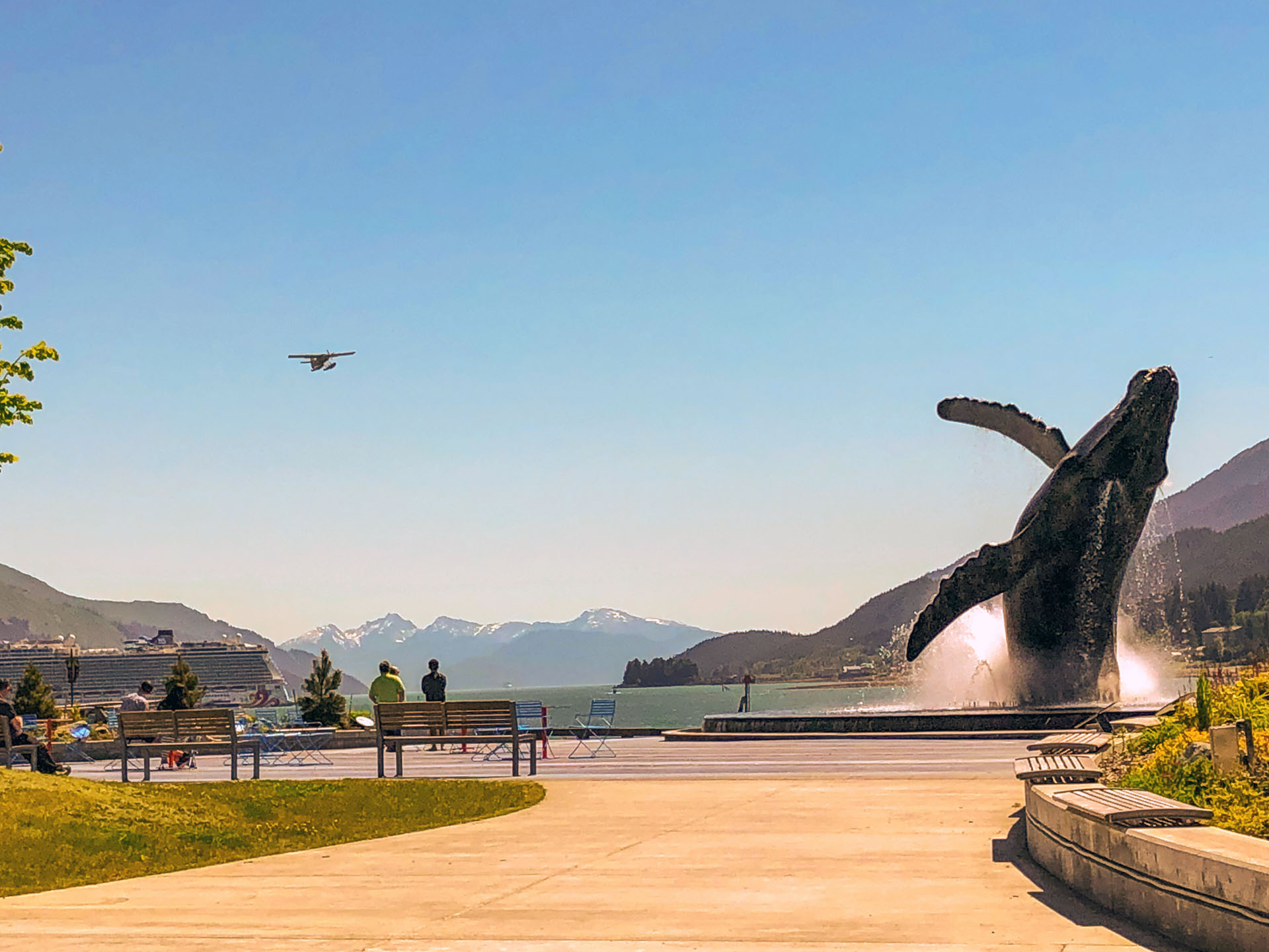 A picture containing sky, outdoor, grass, nature, life-size whale sculpture, fountain