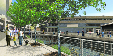 Elliott Bay Seawall Visual Simulation